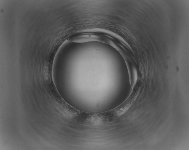 X0000070190416200605301317