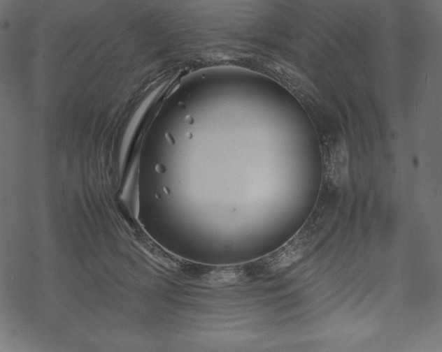 X0000070190418200605301317