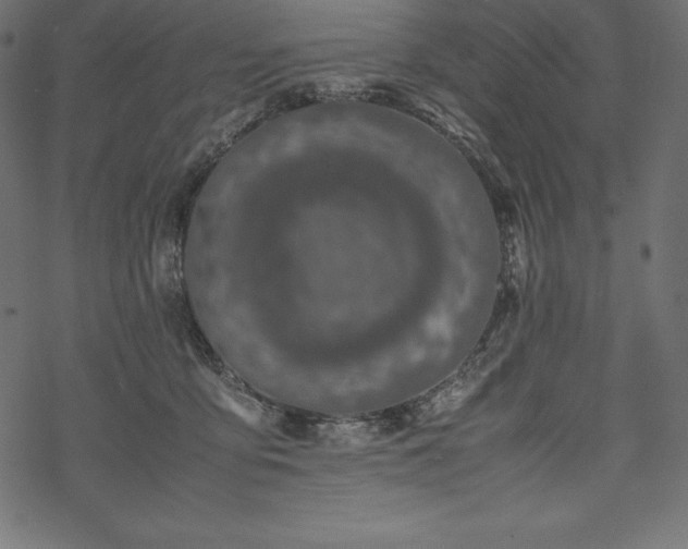 X0000070190419200605301317