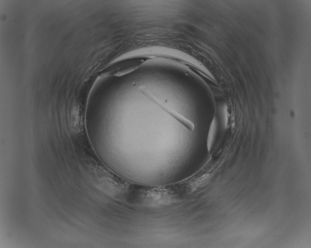 X0000070190420200605301317