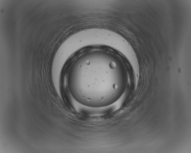 X0000070190421200605301317