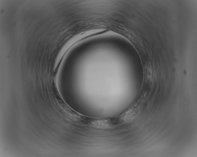 X0000070190422200605301317