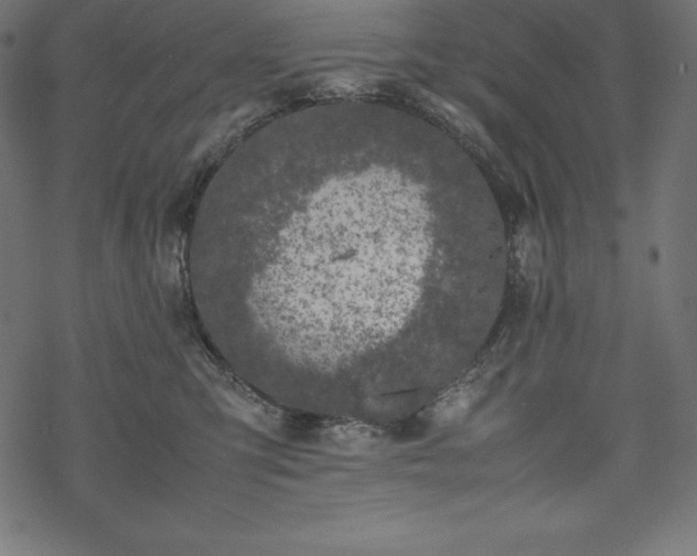 X0000070190423200605301317