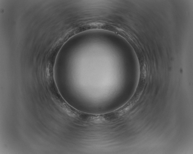 X0000070190424200605301317