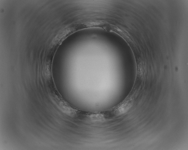 X0000070190426200605301317