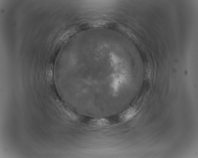 X0000070190427200605301317