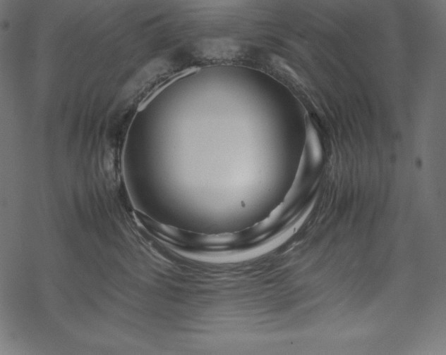 X0000070190428200605301317