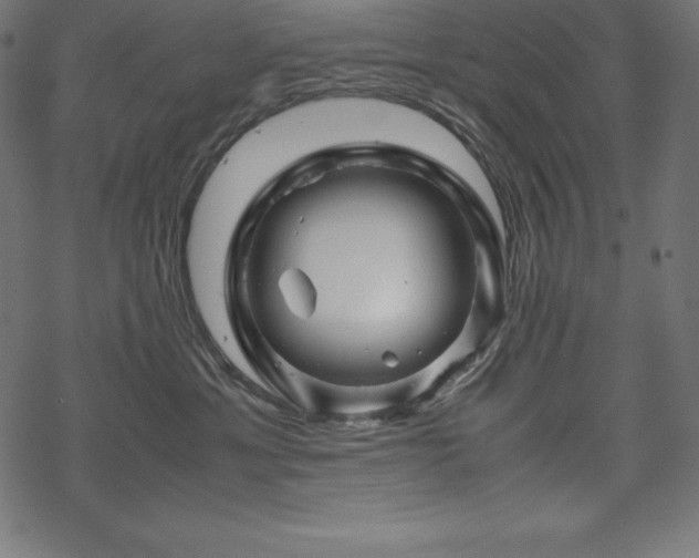 X0000070190429200605301317