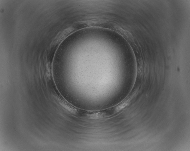 X0000070190430200605301317