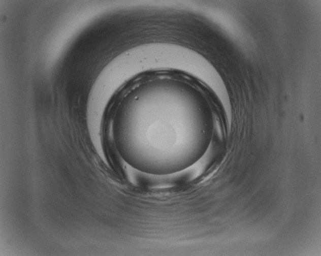 X0000070190431200605301317