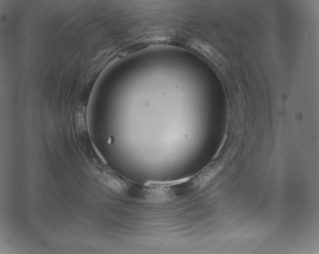 X0000070190432200605301317