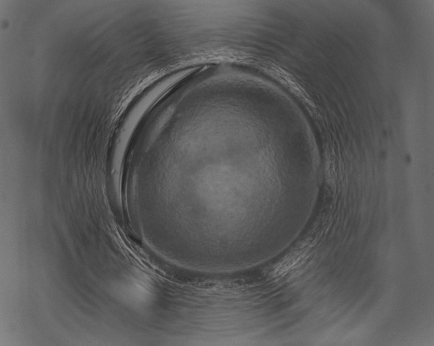 X0000070190434200605301316