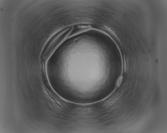 X0000070190435200605301316