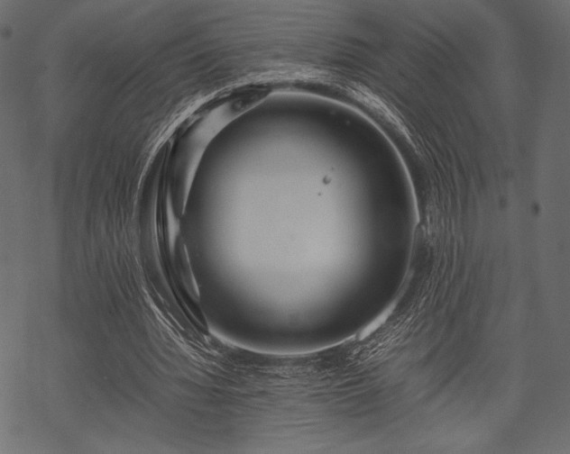 X0000070190436200605301316