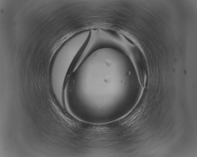 X0000070190437200605301316