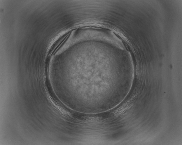 X0000070190438200605301316