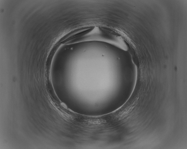 X0000070190439200605301316