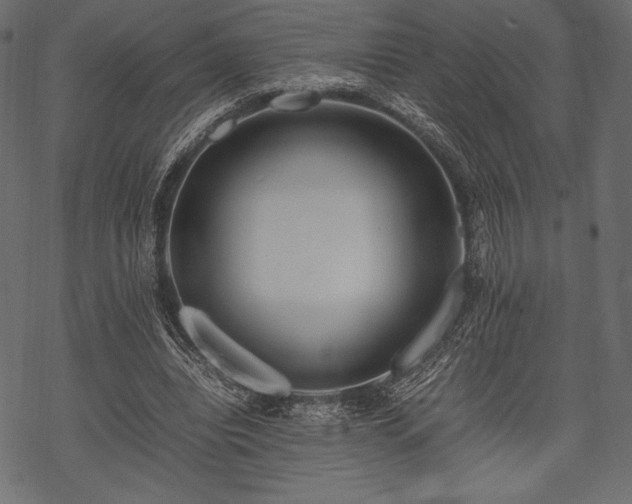 X0000070190440200605301316