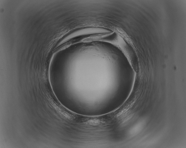 X0000070190441200605301316