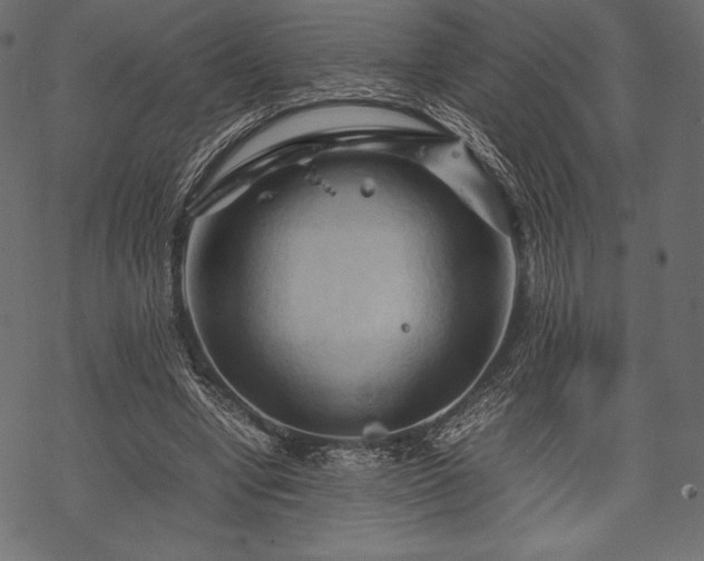 X0000070190442200605301316