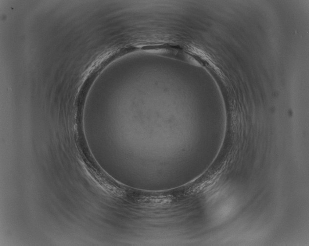 X0000070190443200605301316