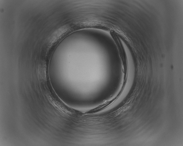 X0000070190446200605301317