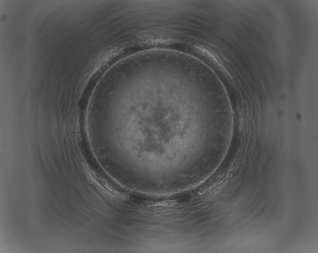 X0000070190447200605301317