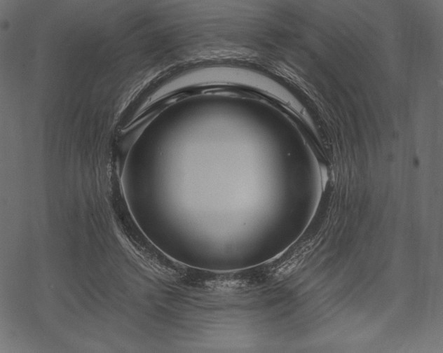 X0000070190448200605301317