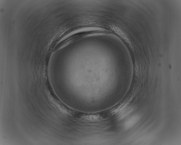 X0000070190449200605301317