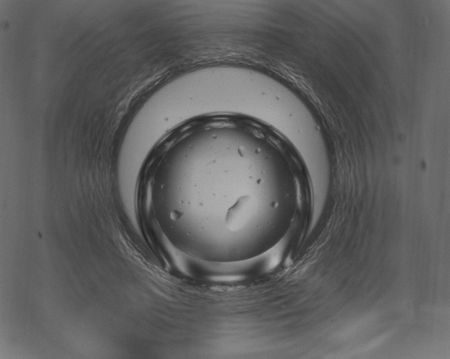 X0000070190450200605301317