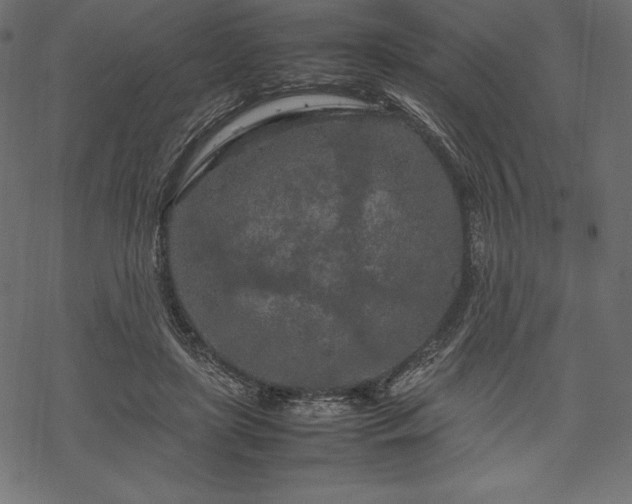 X0000070190451200605301317