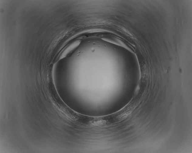 X0000070190452200605301317