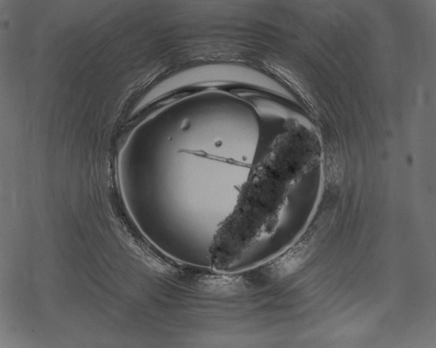 X0000070190453200605301317