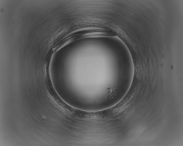 X0000070190454200605301317