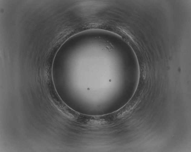 X0000070190455200605301317