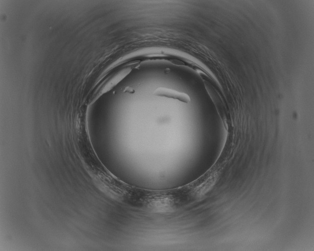 X0000070190456200605301317