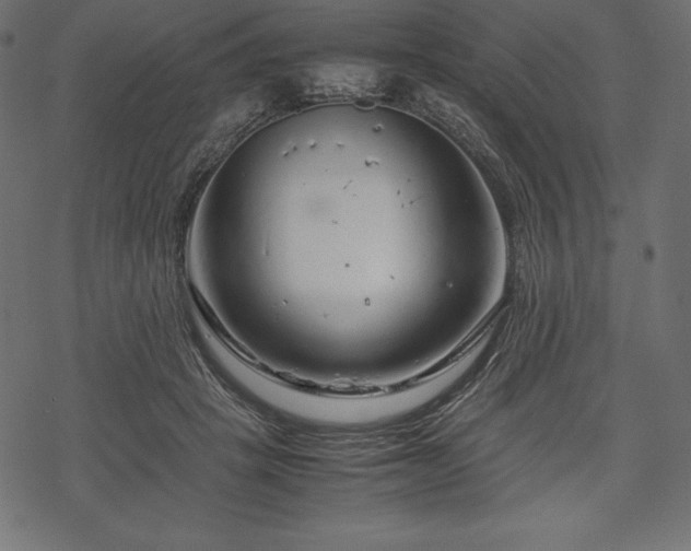 X0000070190457200605301317