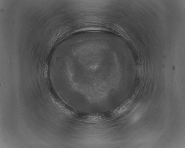 X0000070190458200605301317