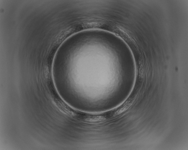 X0000070190459200605301317