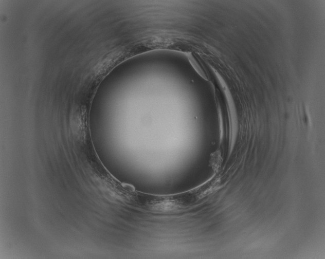 X0000070190460200605301317