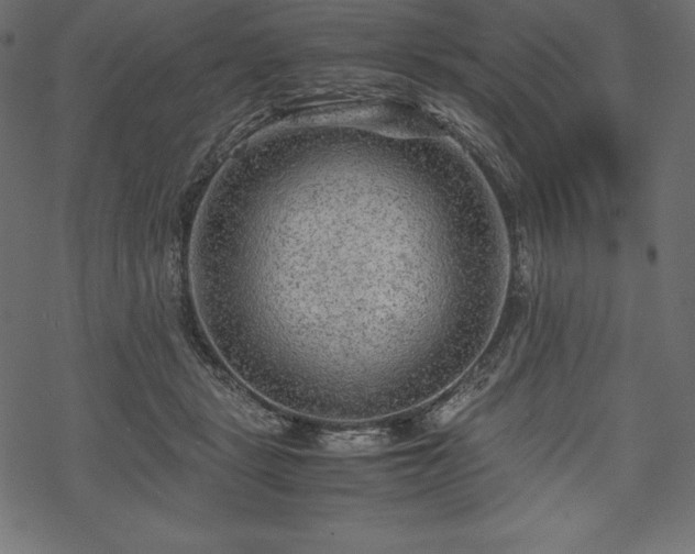 X0000070190461200605301317