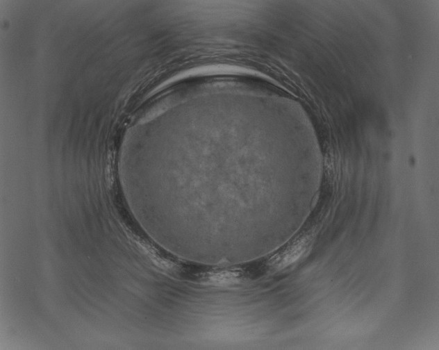 X0000070190462200605301317