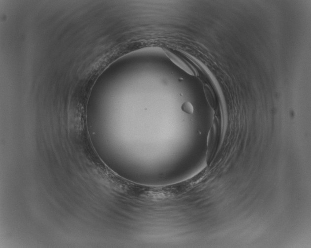 X0000070190464200605301317