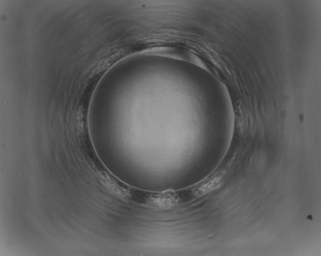 X0000070190466200605301317