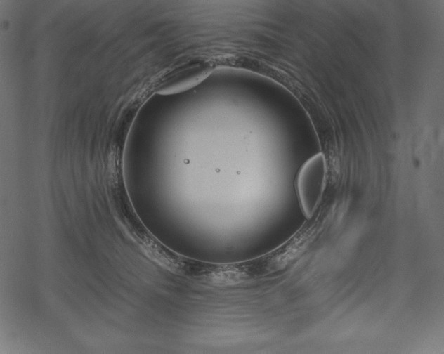 X0000070190468200605301317