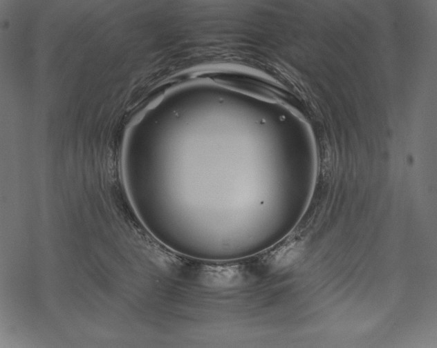 X0000070190469200605301317