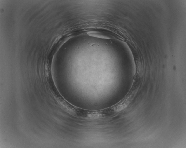 X0000070190470200605301317