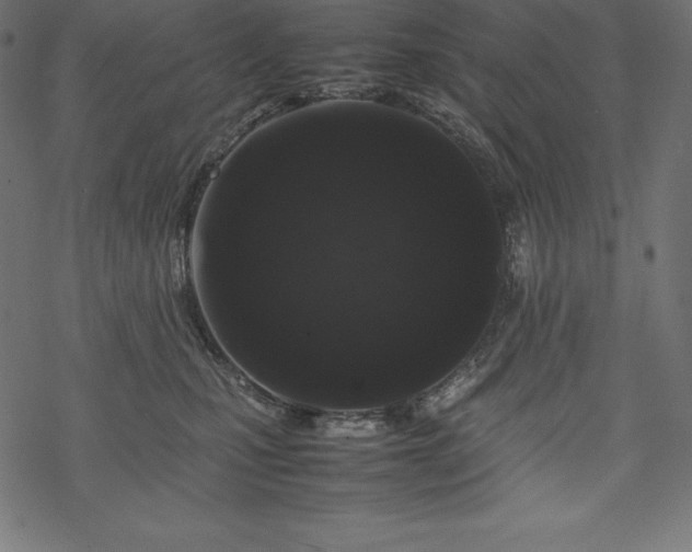 X0000070190471200605301317