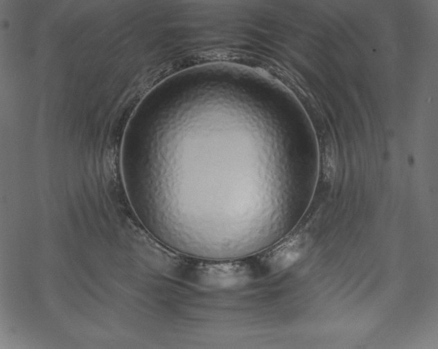 X0000070190473200605301317