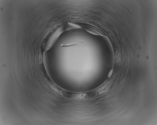 X0000070190474200605301317